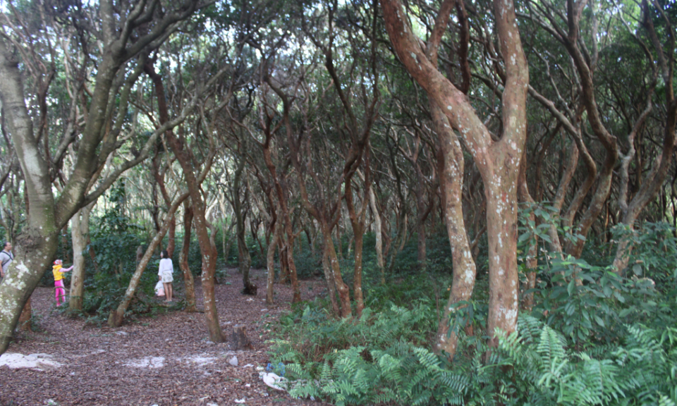 Du lịch xanh – chìa khóa cho phát triển bền vững