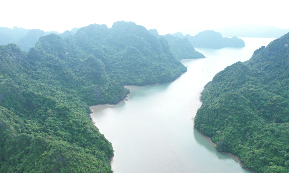 Kỳ vọng vào khu bảo tồn biển quốc gia Bái Tử Long