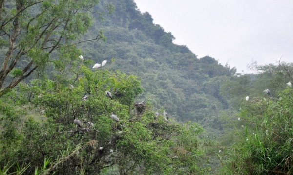 Một thoáng Ninh Bình – Báo Quảng Ninh điện tử