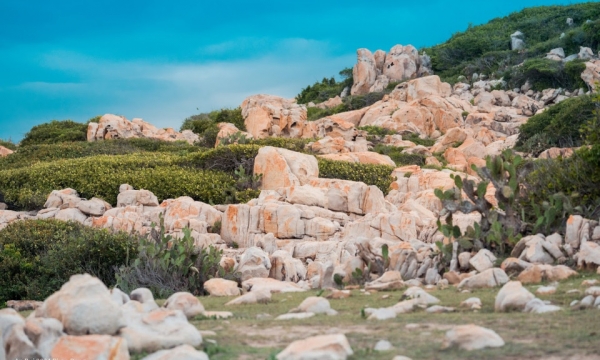 Một ngày dạo chơi với đá ở Ninh Thuận