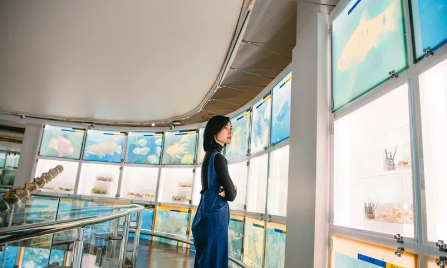 Ứng xử văn minh để không còn tư duy du lịch mùa vụ ‘chộp giật”