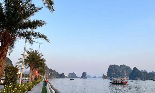 Sắp có lễ hội “Vượt sóng Hạ Long – 2024”