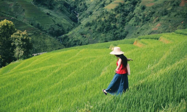 Chiêm ngưỡng ruộng bậc thang đẹp như tranh ngay gần Tà Xùa