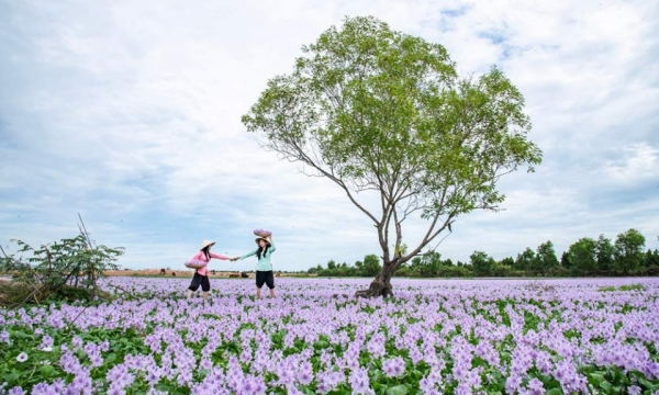 Ghé thăm làng nổi Tân Lập mùa ngập nước