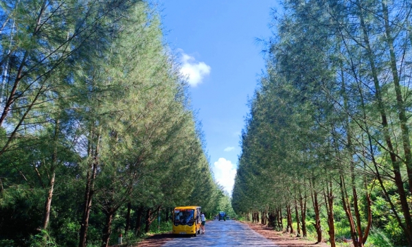 Cung đường xanh đẹp nhất đảo Minh Châu – Quan Lạn