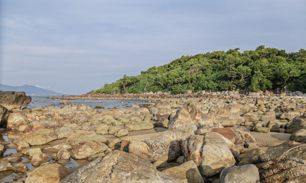 Ngắm bãi rạn Nam Ô tuyệt đẹp thu hút giới trẻ ở Đà Nẵng