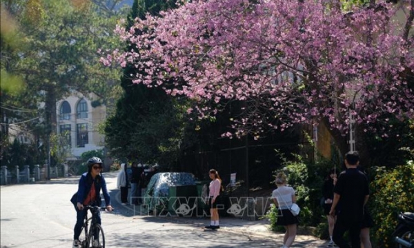 Kỳ nghỉ lễ 2/9: Xu thế du lịch đến các điểm gần và tự túc