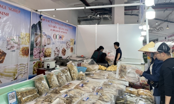 Tổ chức Liên hoan ẩm thực Quảng Ninh năm 2024