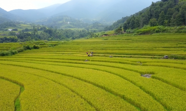 Bình Liêu: Khai thác hiệu quả 3 “trụ cột” thiên nhiên, văn hóa, con người