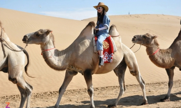 Tại sao khách Việt ‘cuồng’ đi Trung Quốc?