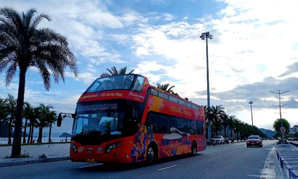 Tạo điểm nhấn từ dịch vụ, tour du lịch đêm