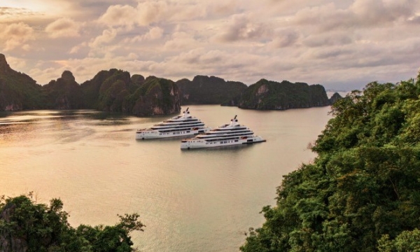 Phát triển đội tàu du lịch trên Vịnh Bái Tử Long