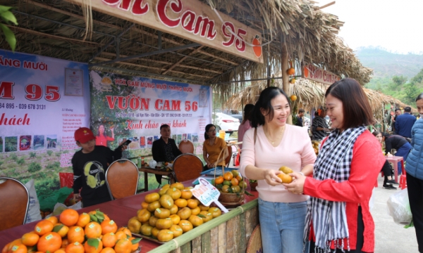 Vân Đồn: Tạo hấp dẫn thu hút khách du lịch 4 mùa