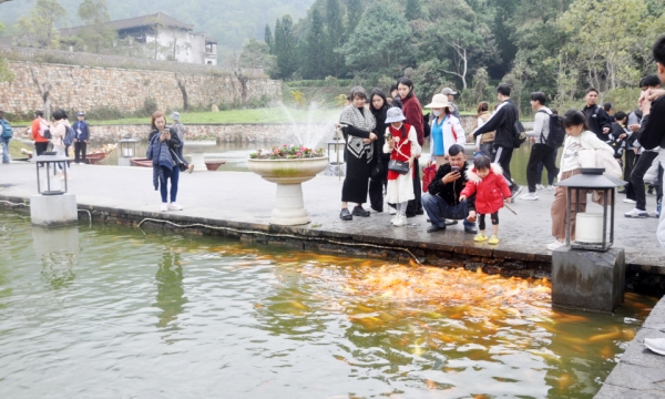 Du lịch “vượt bão” về đích mục tiêu năm 2024