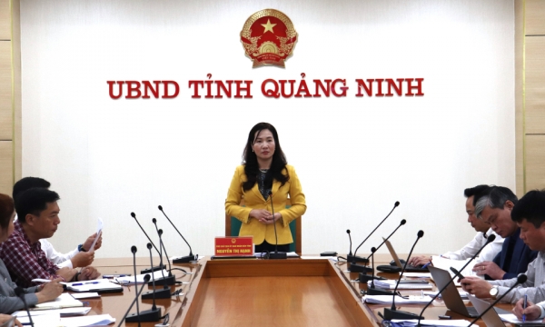 Trung tuần tháng 3/2025 sẽ chính thức khai trương du lịch tham quan Vịnh Bái Tử Long