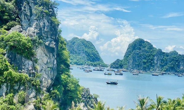 Du lịch tự túc lên ngôi trong năm 2025