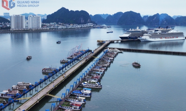 Vịnh di sản hút du khách quốc tế