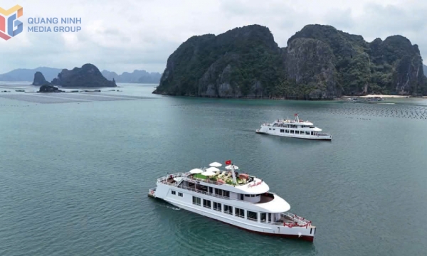 “Đánh thức” du lịch vùng vịnh Bái Tử Long