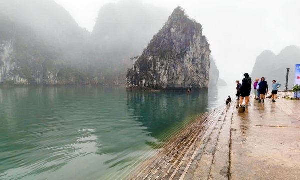 Hòn Cỏ – đảo hút khách giữa lòng Di sản