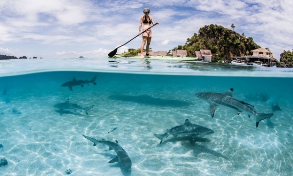 4 kiểu du lịch thịnh hành trong giới nhà giàu