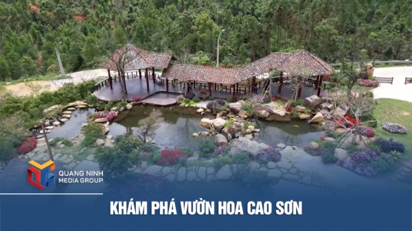 Khám phá vườn hoa Cao Sơn