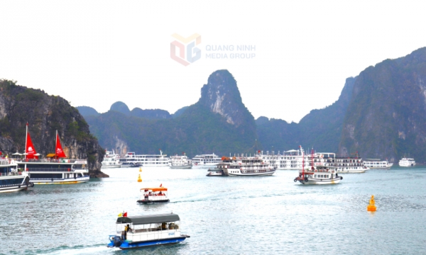 Tạm dừng hợp đồng neo đậu đối với một tàu du lịch do để khách mang theo, sử dụng sản phẩm từ nhựa dùng một lần