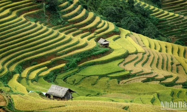 Tái cấu trúc du lịch, giữ hồn bản sắc