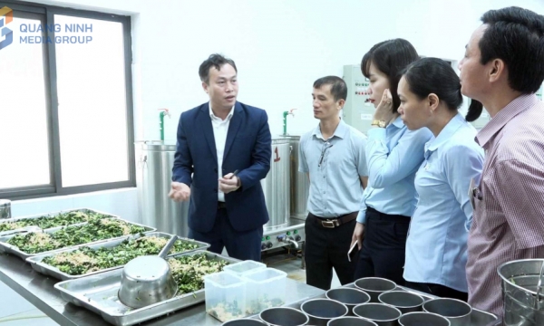 TP Cẩm Phả: Đảm bảo môi trường du lịch thân thiện an toàn văn minh