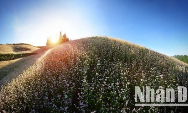 Chiến lược du lịch thích ứng trước thời điểm sáp nhập