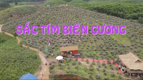 Sắc tím biên cương