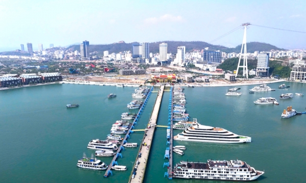 Phát triển đội tàu du lịch đảm bảo chất lượng, hiệu quả