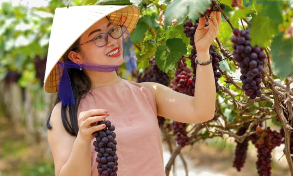Khai thác lợi thế nông nghiệp để phát triển du lịch