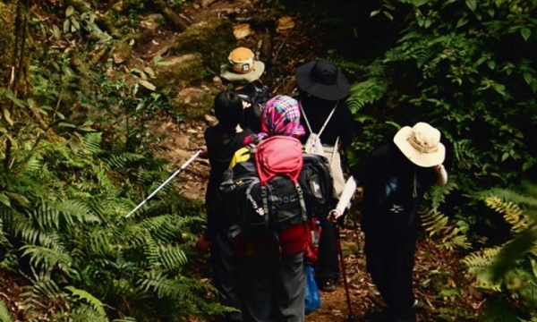 Thử sức trekking xuyên rừng chinh phục đỉnh Sa Mu đẹp như cổ tích