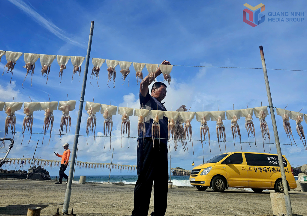 Một người đàn ông phơi mực bên bến cảng.